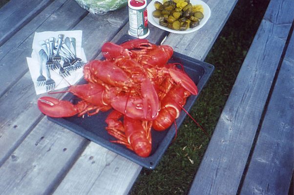 Dinner
A bunch of the wedding guests were staying at the Ladyslipper Cottages.  The brides mother and step-dad put on a monstrous lobster feast with far more lobsters than we could eat.  Kick ass!
