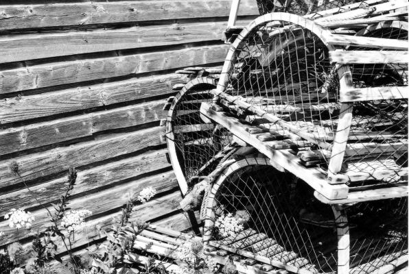 Lobster Pots
More artsyness in Morell.  Lobster was out of season so the traps sit and wait for next year.
