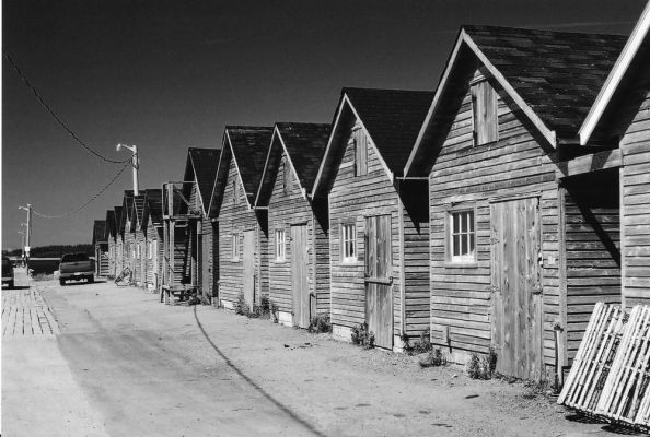 Fishermens Shacks
Morell was a good photo spot for me.  These are all the little shacks down by the wharf that the fishermen use to store their stuff.
