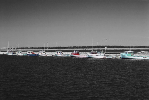Morell Boats
Line of fishing boats at Morell.  The colors catch the eye so I thought I'd keep them.
