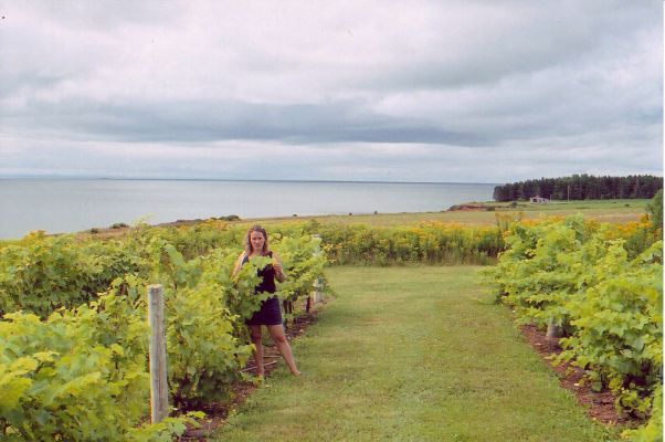 Winery
There's a winery in PEI called Rossignol Estates.  They make a variety of fruit wines as well as traditional ones.
