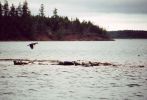 murray_harbour2.jpg