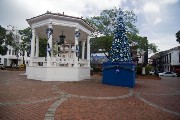 IMG_1618.jpg
