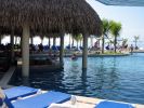 IMG_2322.jpg