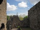 IMG_2385.jpg