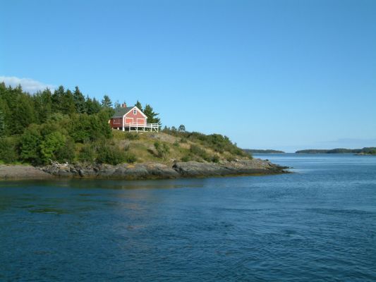 Whale Watching
