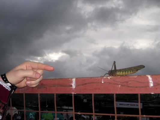 Trinidad2011_113.jpg