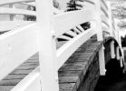 bridge.jpg